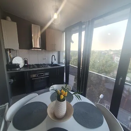 Stadium & Terrace Craiova