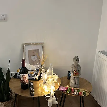 Stadium & Terrace * Craiova