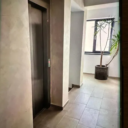 Stadium & Terrace * Craiova