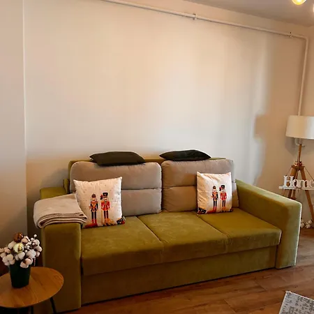 Stadium & Terrace Craiova